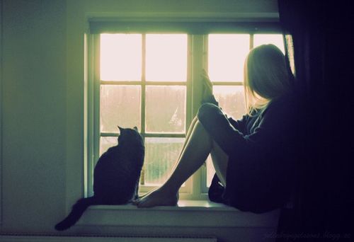 dsc_3644_183066638_large