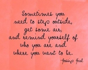 2b62fe31647e544807d455c80b10e97c