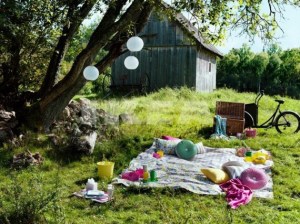 A-Picnic-in-the-Park-2012-IKEA-Summer-Inspiration-Decorating-and-Relaxing.jpeg-570x427