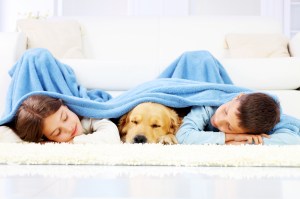 Boy, girl and dog sleeping covered with a blanket.
