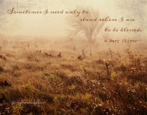 8055385930_28bc7c71b4_z