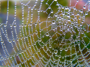 Screen-Shot-2014-05-20-at-1.56.27-PM