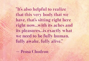 quotes-body-04-chodron-600x411