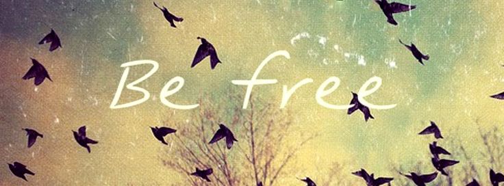 6b428dfcb7ec9a69577941481908fc2d