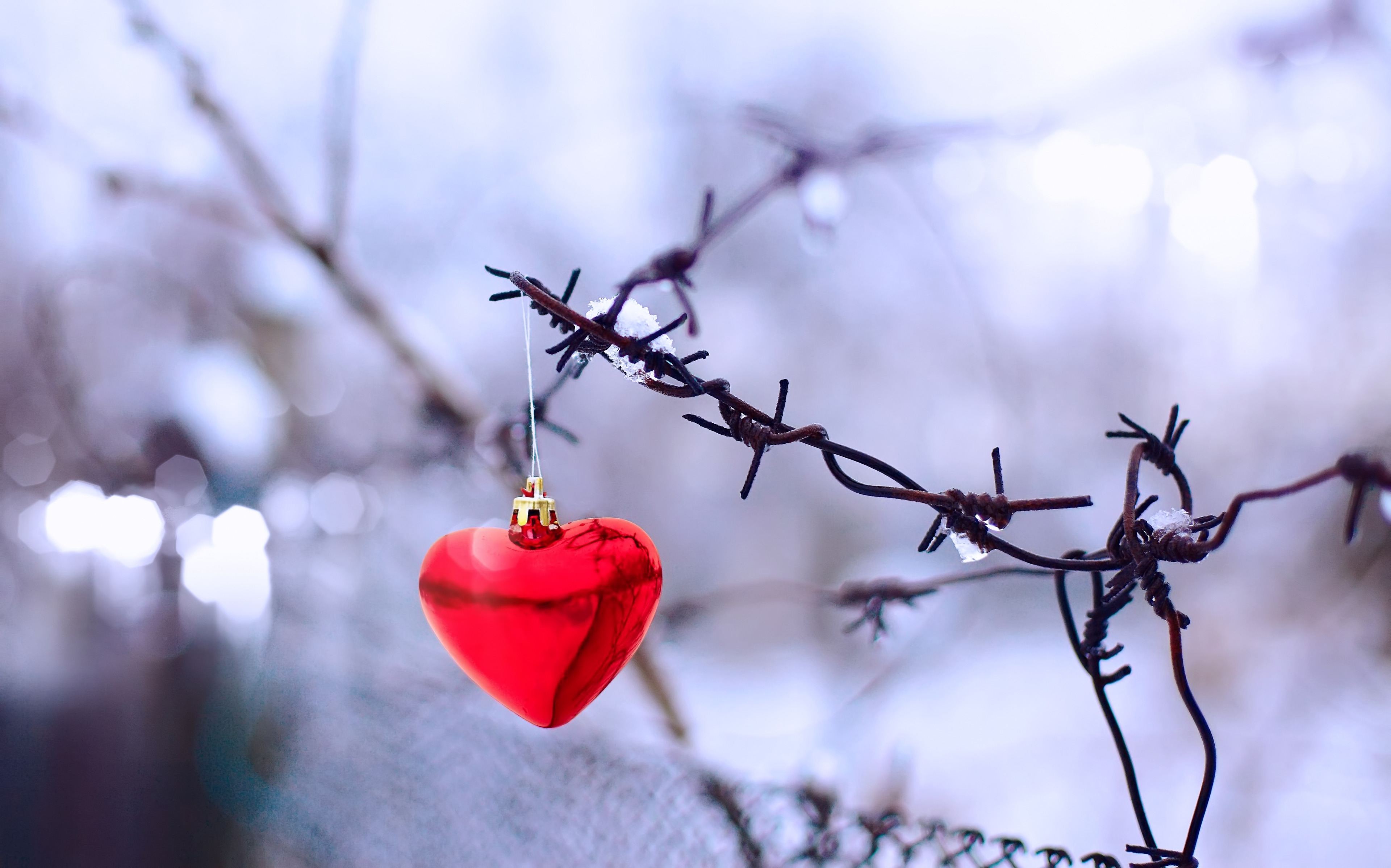 heart-ornament-hanging-from-a-wire-fence-3840x2400-wide-wallpapers-net