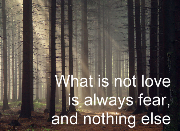 love-fear