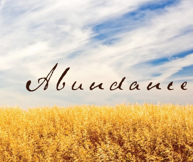 abundance-42-1024x860