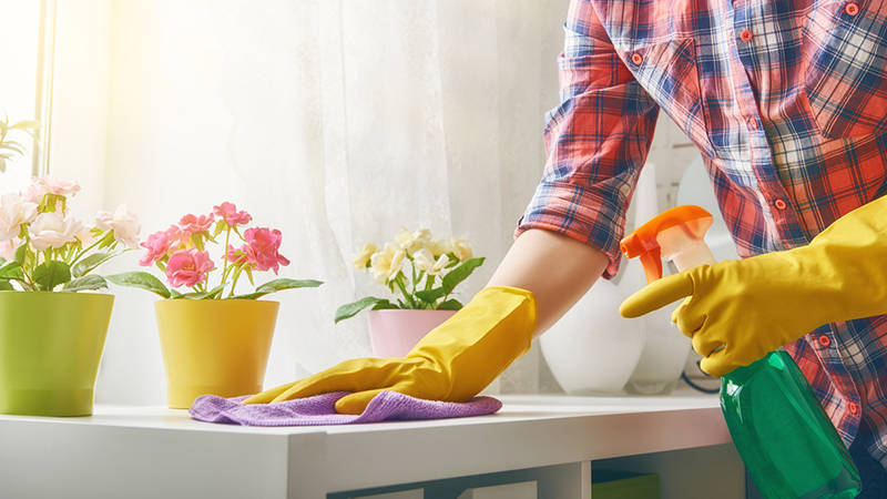 11127_Spring_Cleaning_800