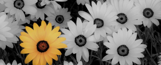 5-Ways-We-Are-A-Different-Subscriptino-Agent-538x218