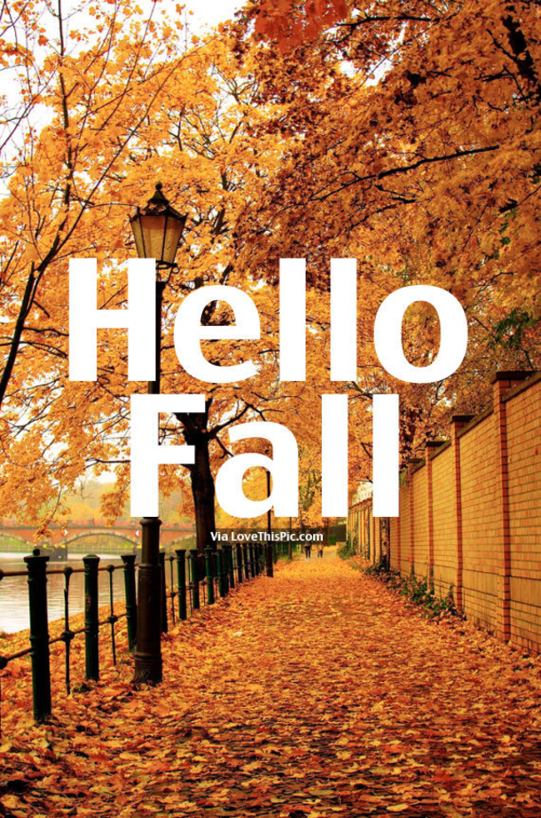 20-Happy-Fall-Quotes-5564-7