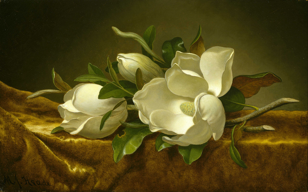 magnolias-on-gold-velvet-cloth-1890