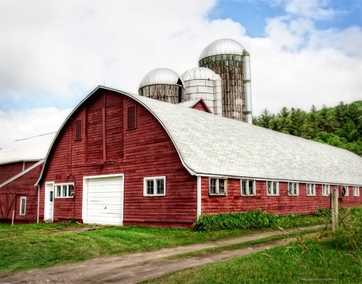 il_fullxfull.1092511228_su6k