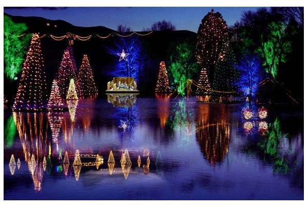 pond-town-christmas-lights_f3d882cd-5056-a36a-0ba8bf7ba2cedcb8