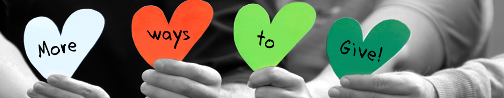 Solutions--1020x200--More-Ways-to-Give_1