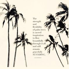 5d9a7cd687441d2405e18c7ec1005ccc--palm-trees-beach-quotes