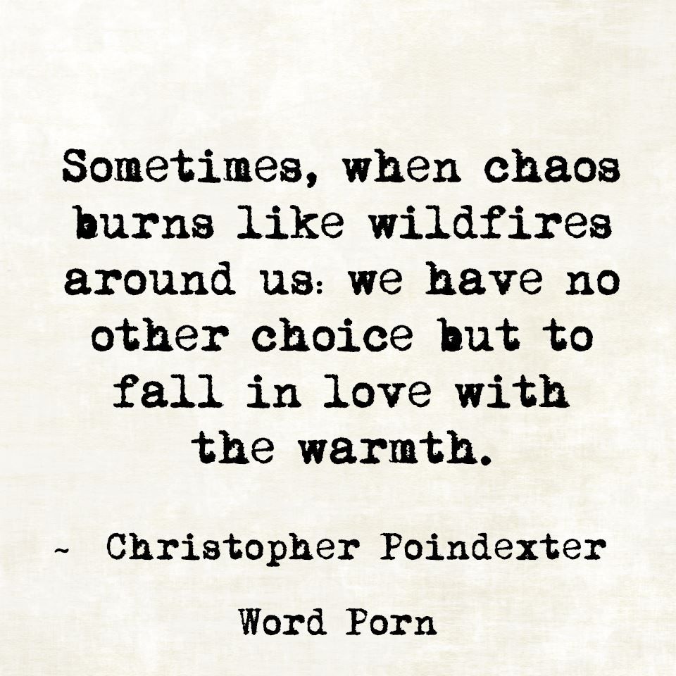 365c5fb54a6b78b19d2dcfe723d32a12